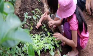 Liburan Sekolah, Yuk Ajak Si Kecil Belajar Menanam di Kebun Kumara!