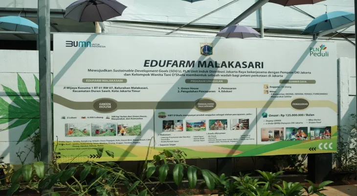 Bangkit dari Keterpurukan, Kisah Haryati dan PLN Lahirkan Edufarm Malaka Sari Beromzet Ratusan Juta