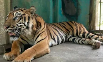 Govt. Helps Improve Animal Management in Medan Zoo