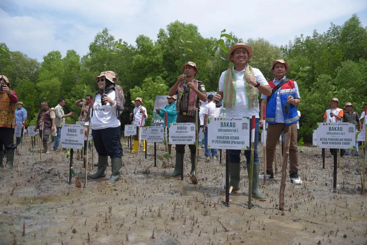 Dukung Upaya Mitigasi Perubahan Iklim, Pertamina Rehabilitasi Mangrove di Nusa Tenggara Timur