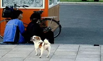 Korea Utara Larang Pelihara Anjing, Kecuali untuk Dimakan atau Digunakan Bulunya