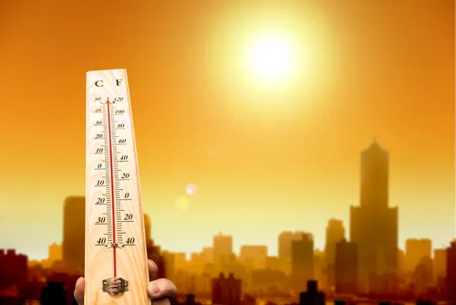 Heatwave: Sejumlah Negara Asia Imbau Penduduk untuk Pergi ke Tempat Teduh