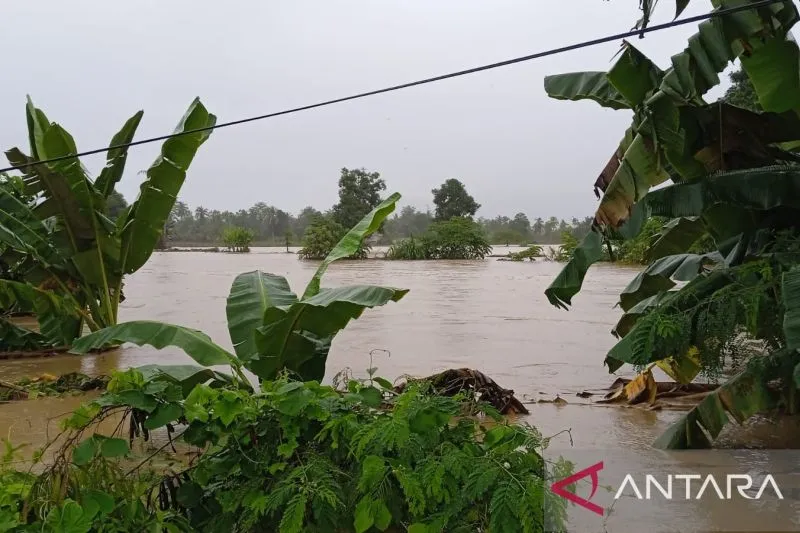 Banjir Bandang di Sulawesi Selatan: Jumlah Korban Meninggal dan Rumah yang Tenggelam