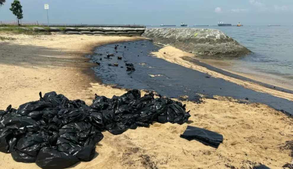 Oil Spill Blackens Part of Singapore Coastline Including Sentosa Island