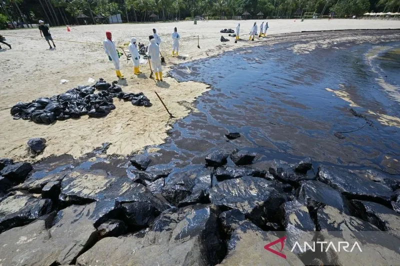 Singapura Berupaya Bersihkan Pantai dari Tumpahan 400 Ton Minyak Akibat Tabrakan Kapal