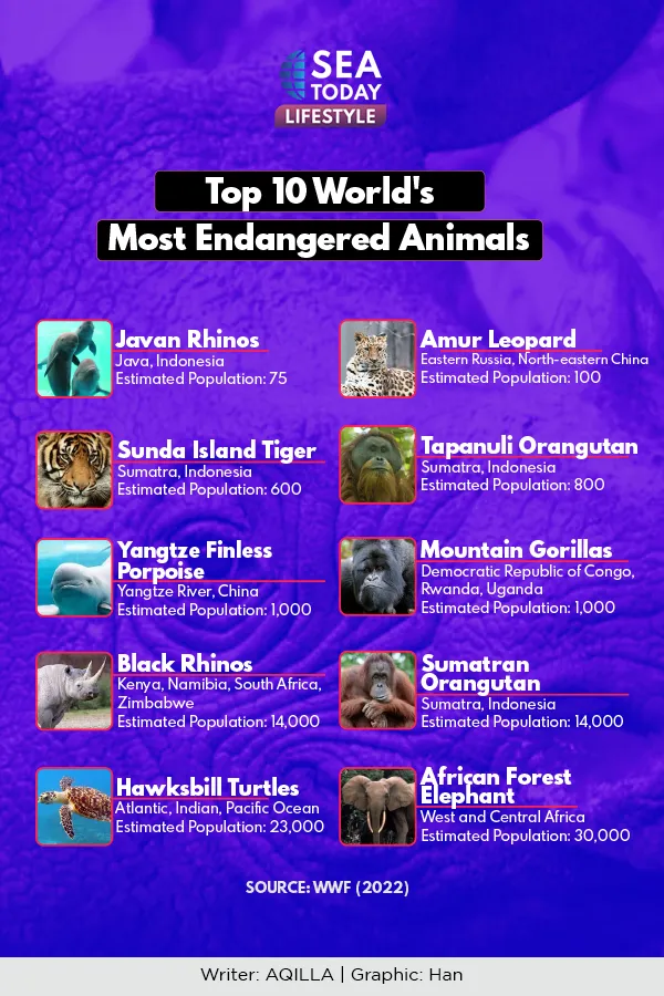 Top 10 World's Most Endangered Animals