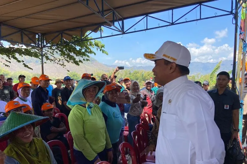 Menko PMK Sebut Nasi Jagung Bisa Jadi Opsi Menu Makan Siang Gratis