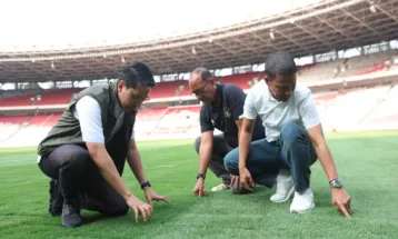 GBK Stadium Pitch Maintenance Carried Out Ahead of Match Against Australia