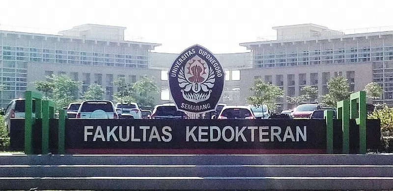 Penyebab Kematian Dokter Aulia Terungkap, Benarkah Bukan karena di-Bully Senior?