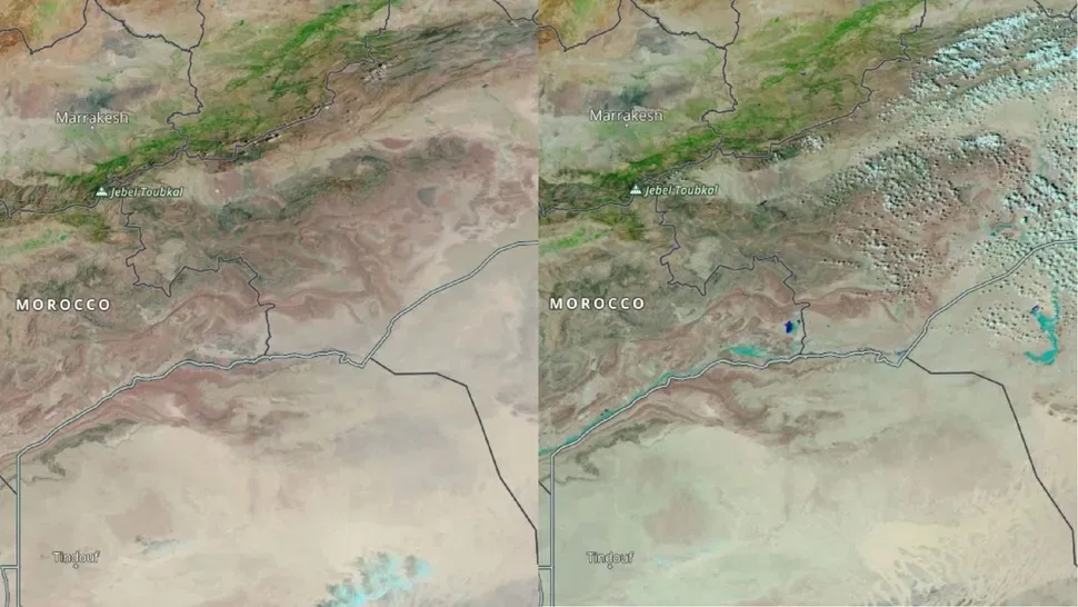 Gurun Sahara Terpantau Menghijau, Apa Penyebabnya?