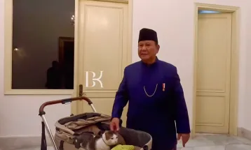 Diboyong Prabowo Masuk Istana, Bobby Kertanegara Duduk Anteng di Pet Stroller