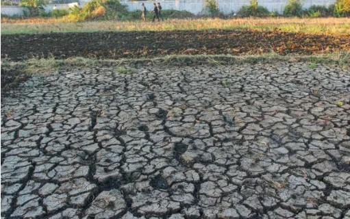 Sumba Timur NTT Jadi Satu-Satunya Daerah yang Belum Diguyur Hujan